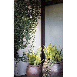 Proyector Slot-1 Faro