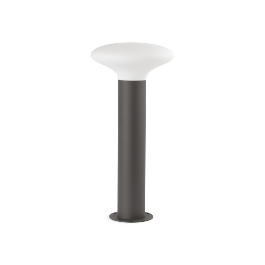 Sobremuro Blub´s 54cm Faro