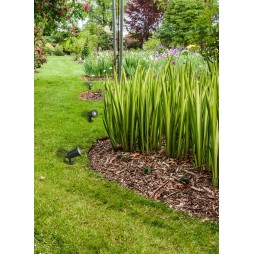 Foco LED con piqueta Neo Forlight