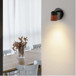 Aplique/plafón Coco negro y terracota Faro