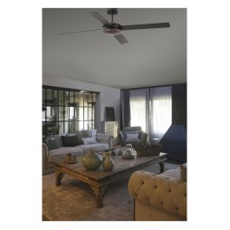 Ventilador motor DC Polea Faro